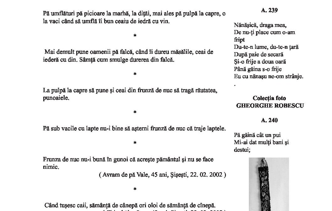 bale-leacuri-2189-2190-21-23