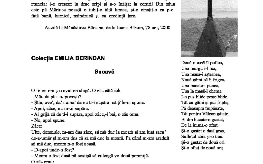 berindan-snoava-2005-2006-20
