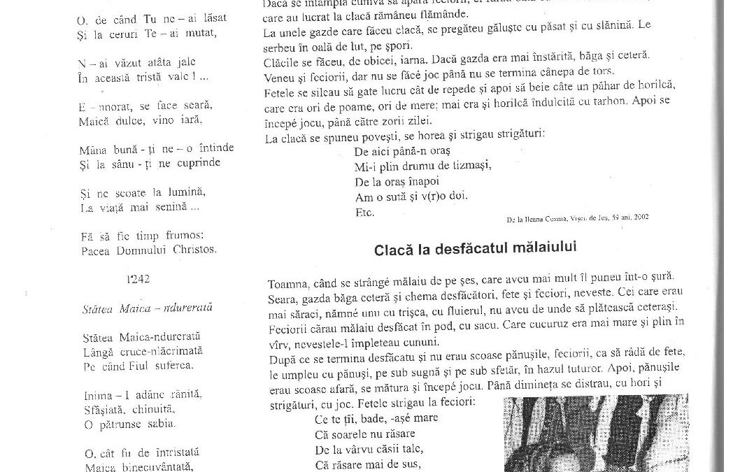 bora-claca-4-5-484