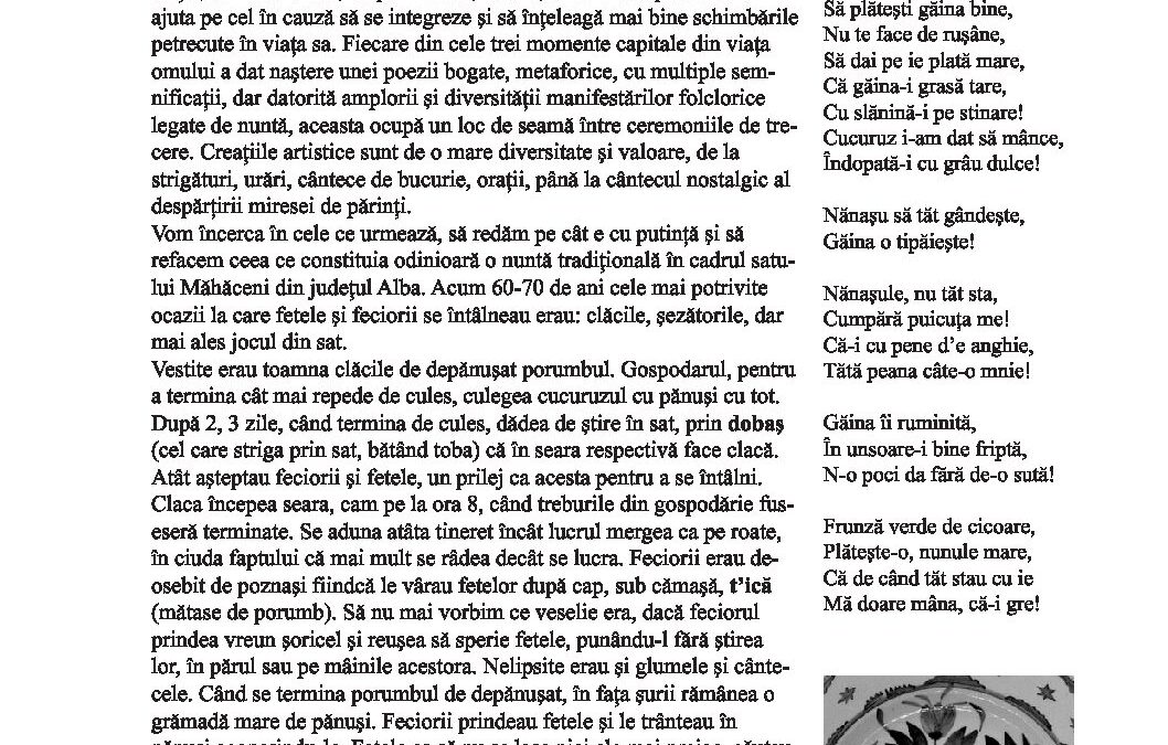 burzo-nunta-2173-2177-21-23