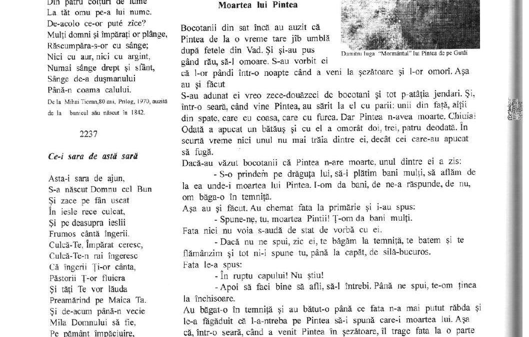 dancus-povestile-pintii-8-9-876
