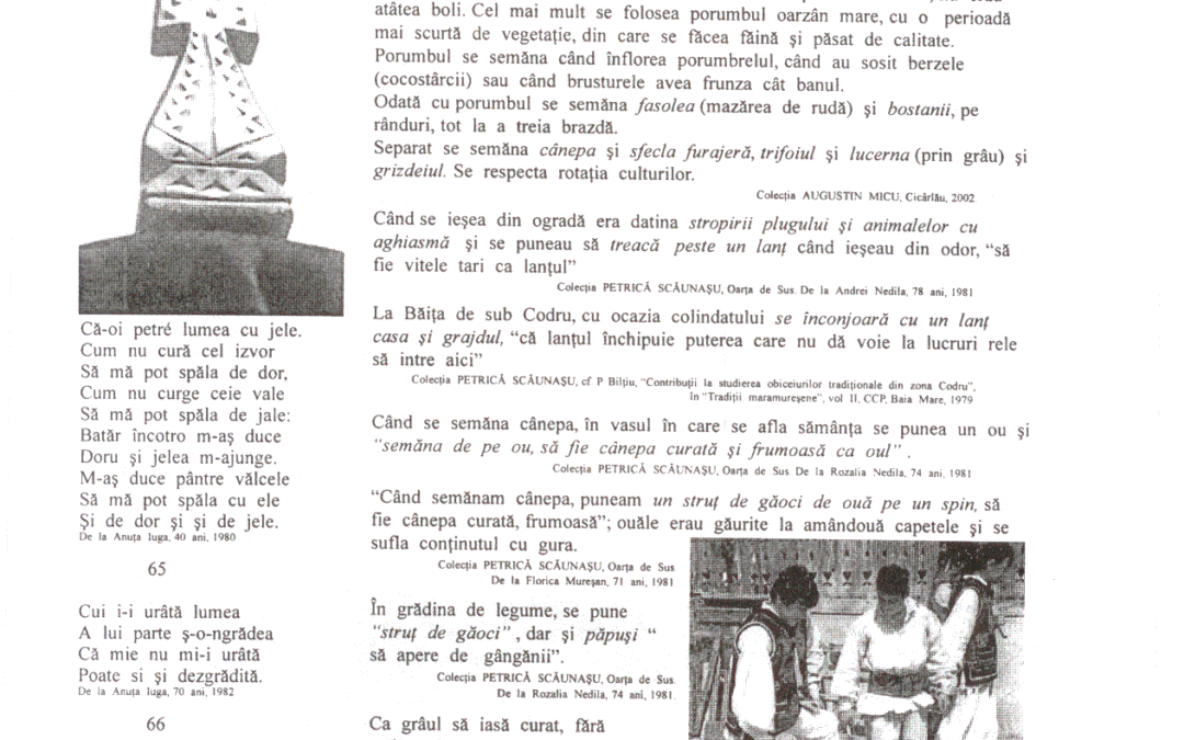 vol_02_03_cartea20007a