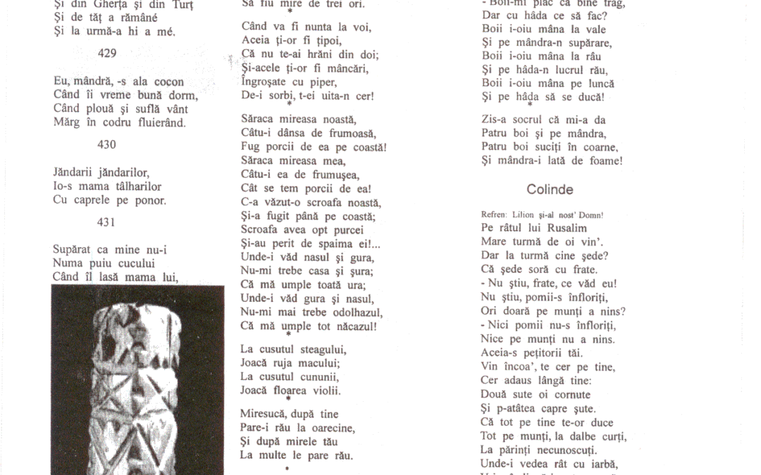 vol_02_03_cartea20038a