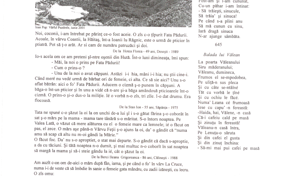 vol_02_03_cartea20065