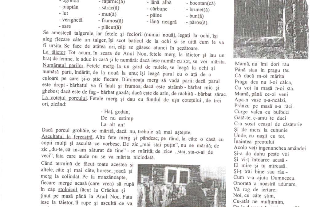 vol_02_03_cartea20073