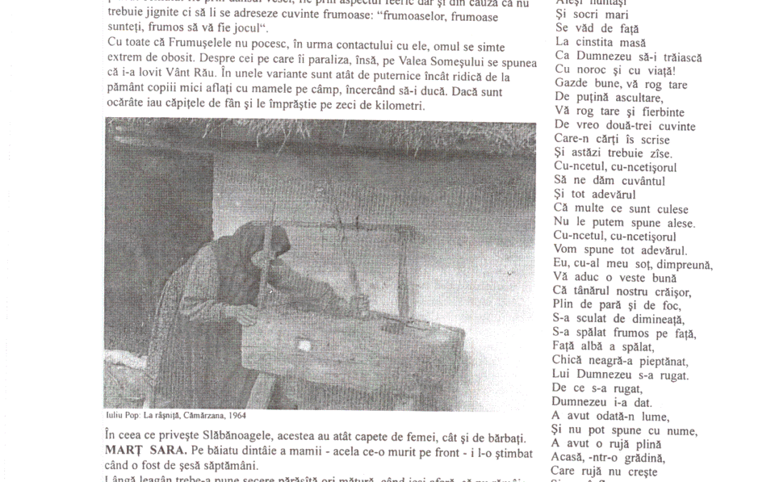 vol_02_03_cartea20074