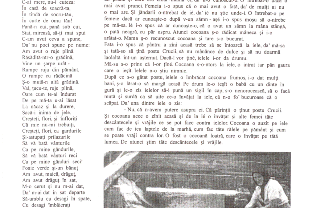 vol_02_03_cartea20076a