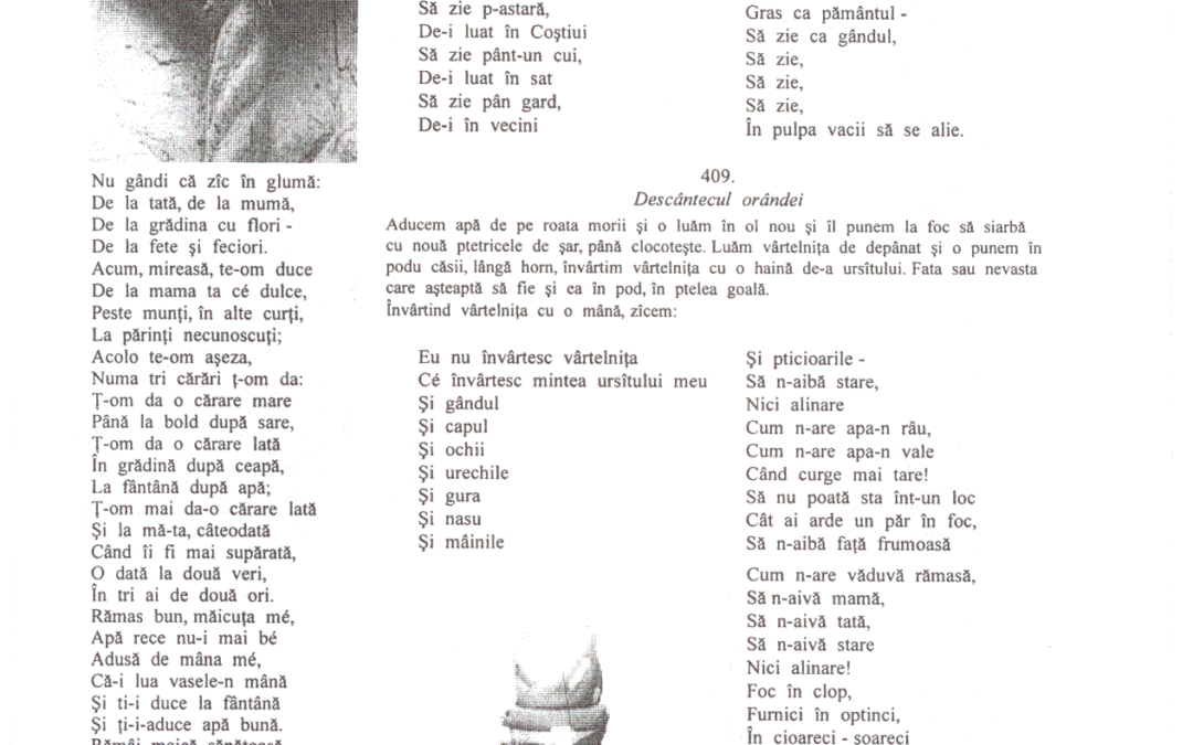 vol_02_03_cartea20077a