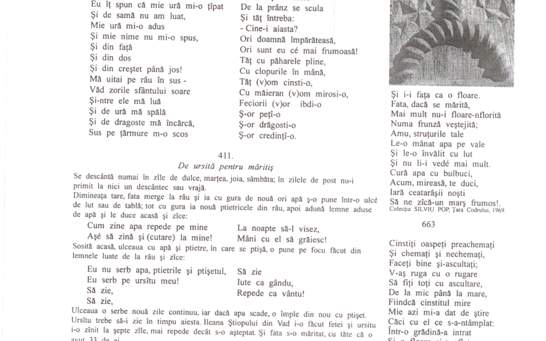 vol_02_03_cartea20078