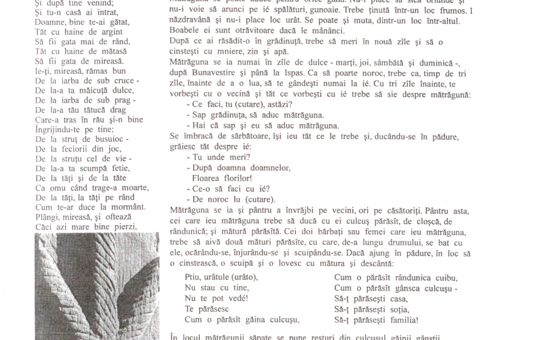 vol_02_03_cartea20080a