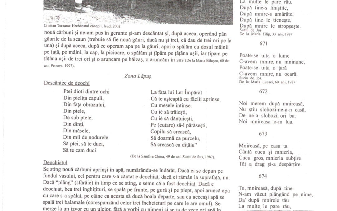 vol_02_03_cartea20085