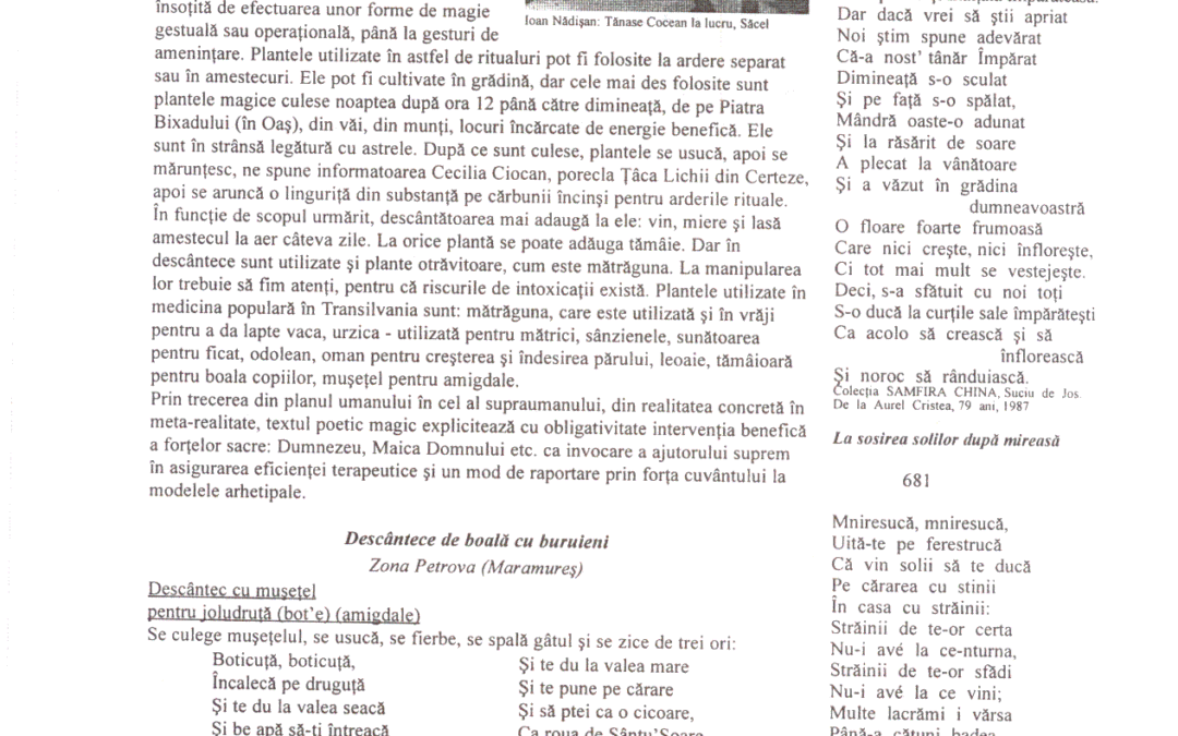 vol_02_03_cartea20086