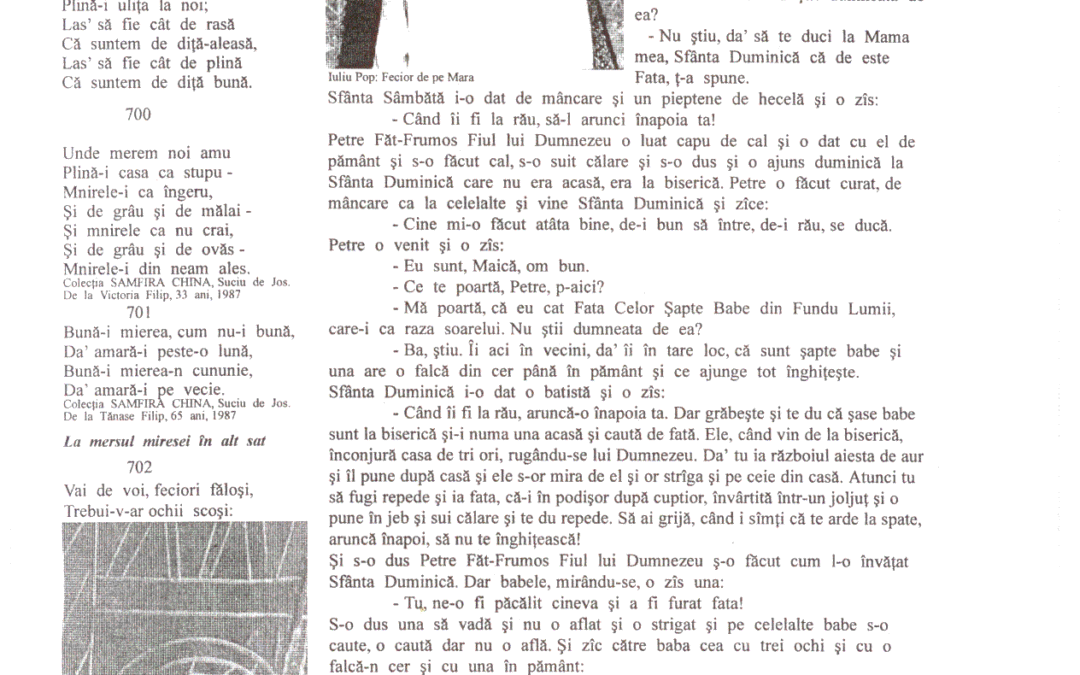 vol_02_03_cartea20087a