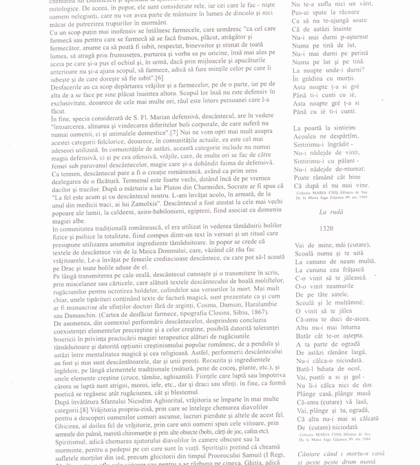 vol_04_05_cartea30035