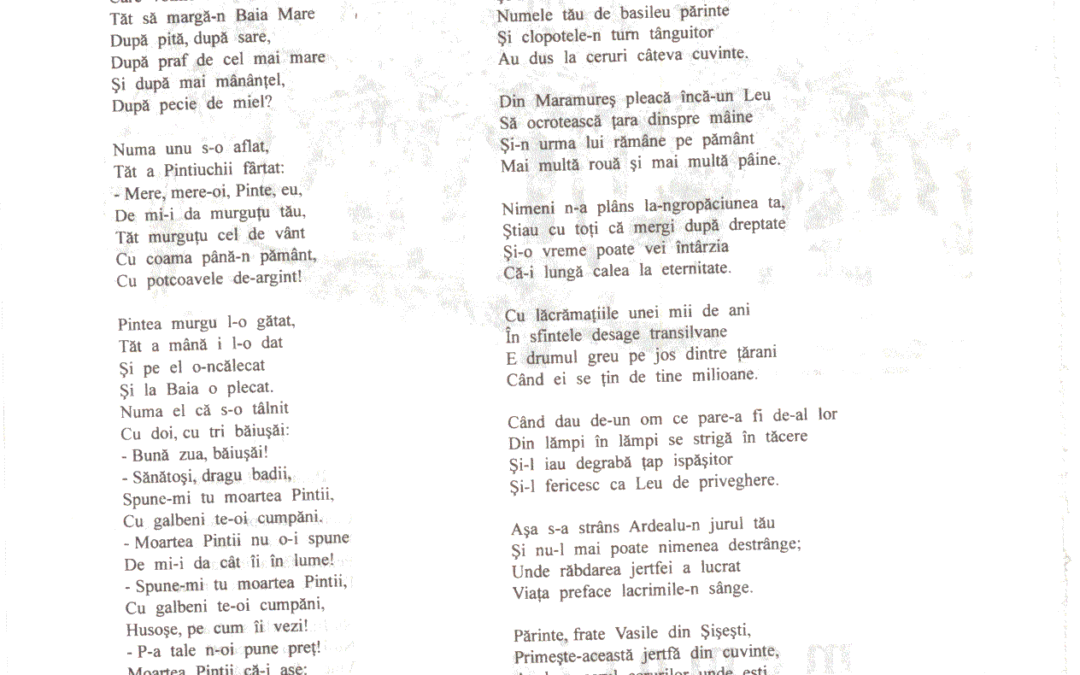 vol_06_07_cartea40001a
