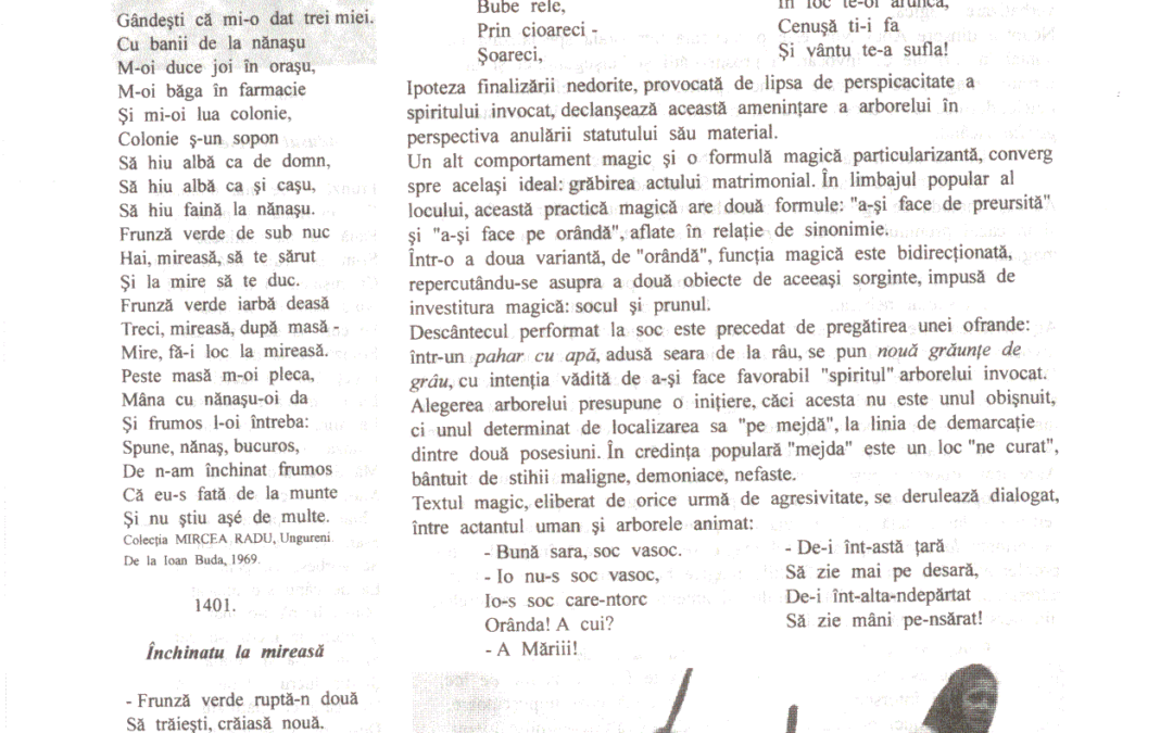 vol_06_07_cartea40008a