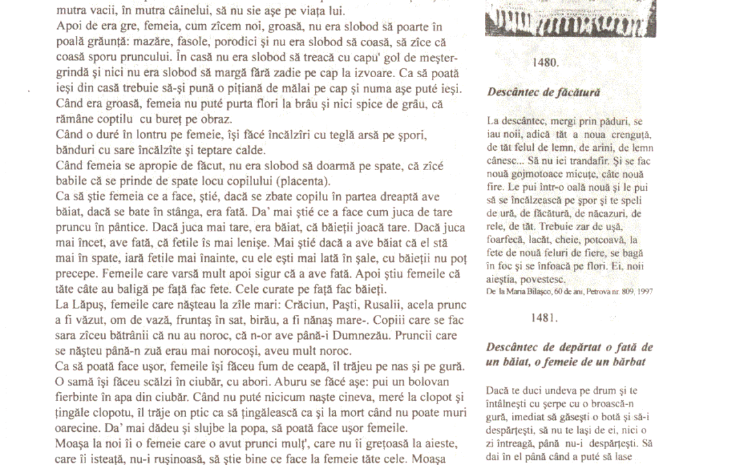vol_06_07_cartea40026