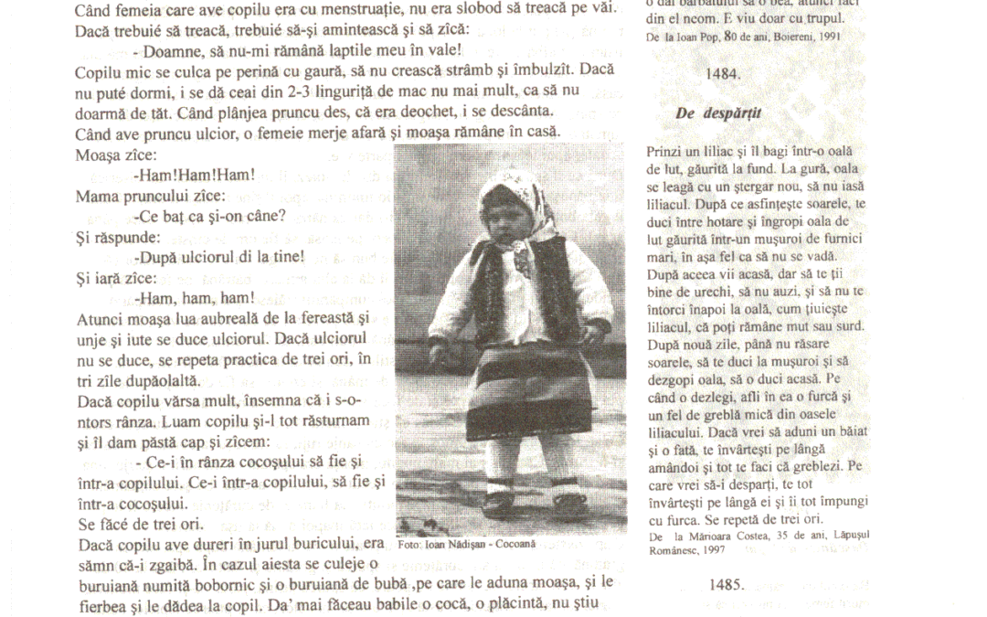 vol_06_07_cartea40027