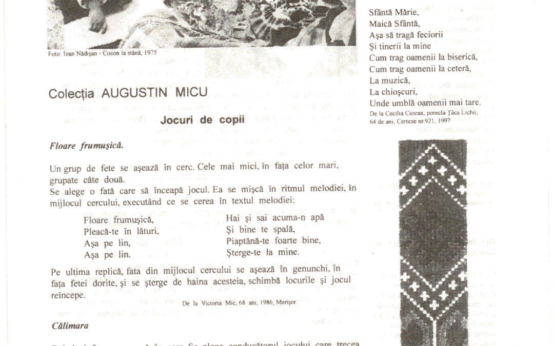vol_06_07_cartea40028