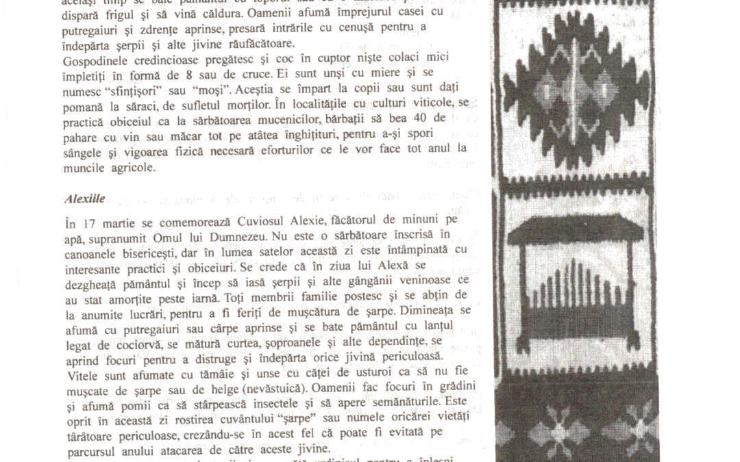 vol_06_07_cartea40042