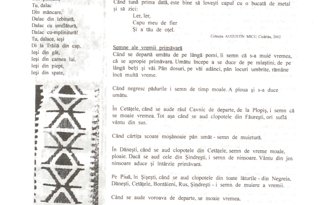 vol_06_07_cartea40042a