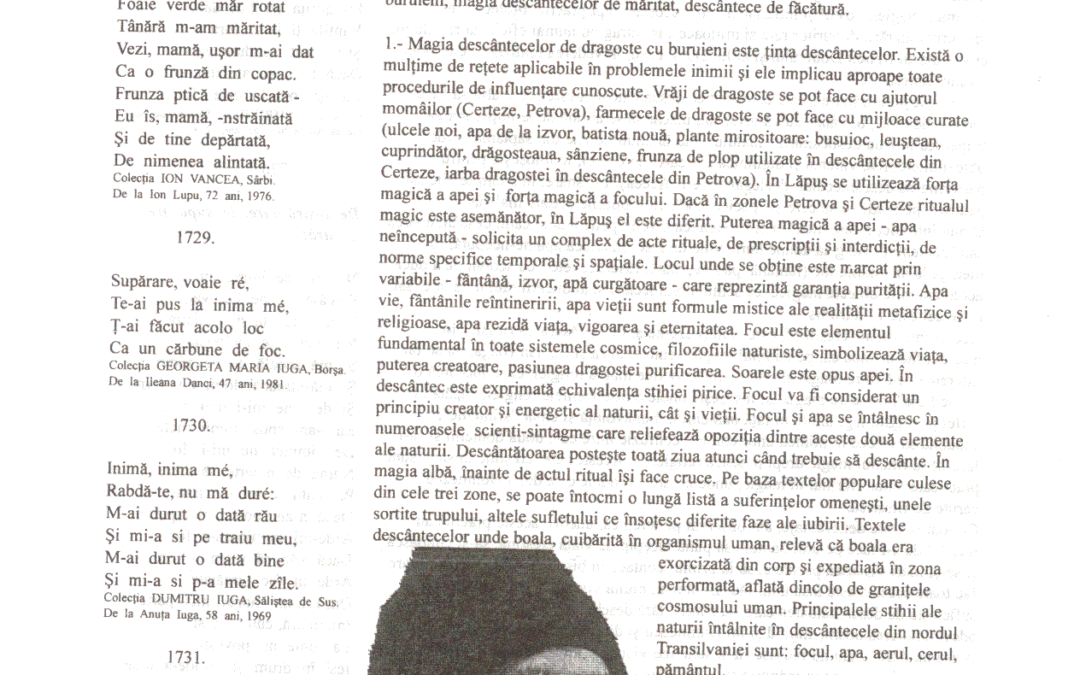 vol_06_07_cartea40080a