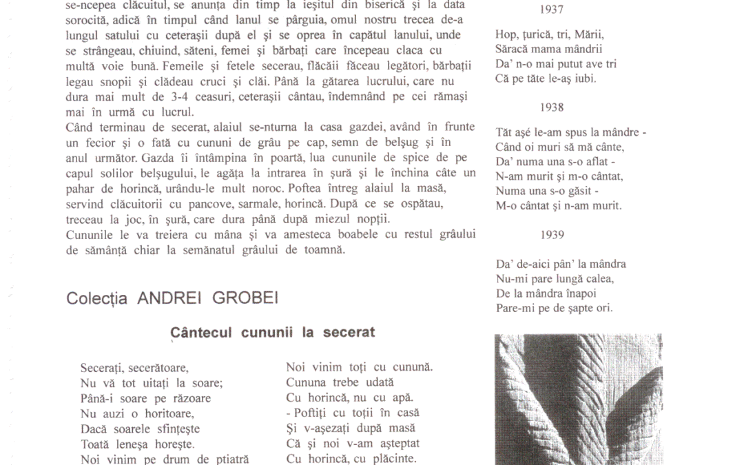 vol_08_09_cartea50010