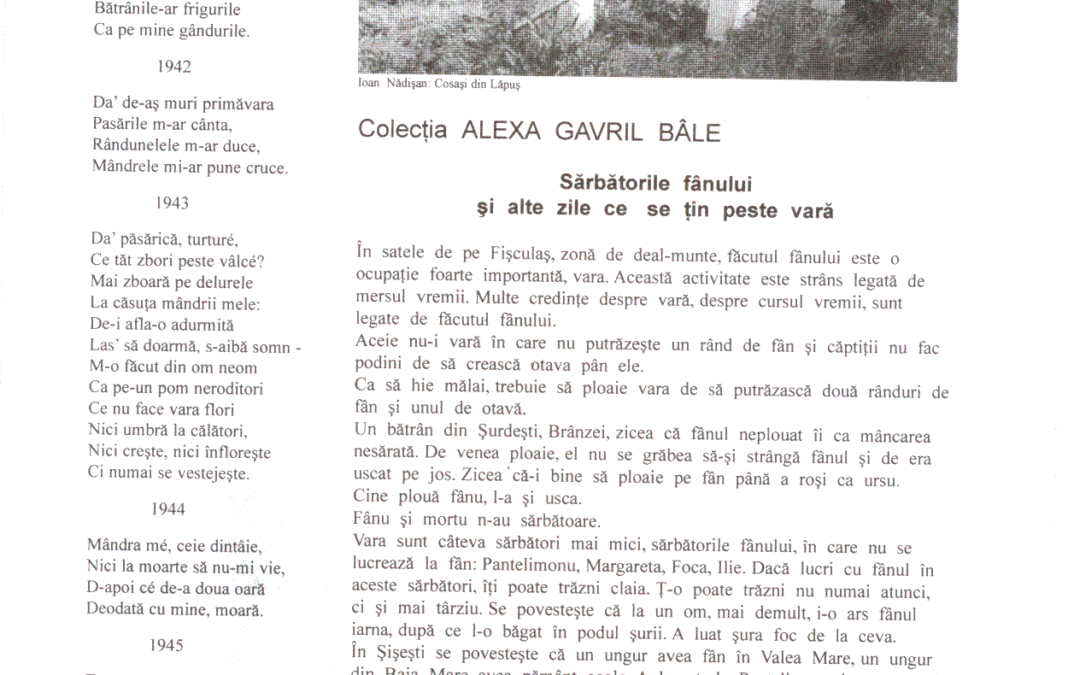vol_08_09_cartea50010a