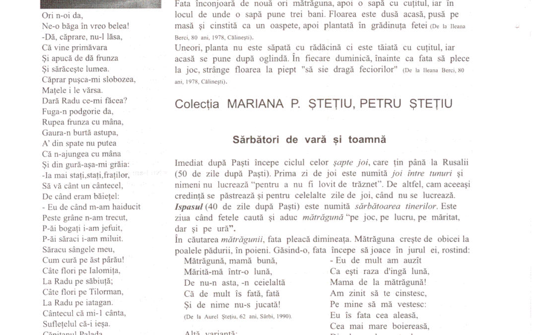 vol_11_13_scan0007a