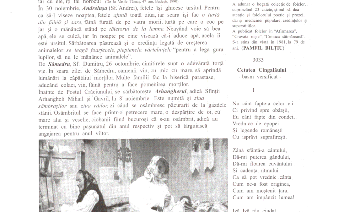 vol_11_13_scan0008