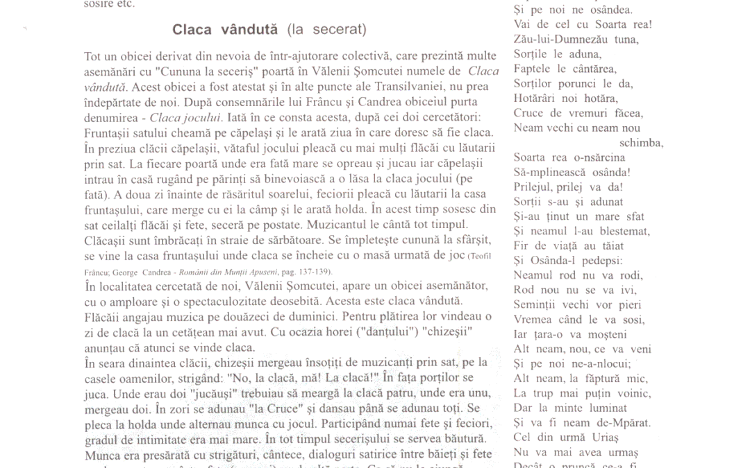 vol_11_13_scan0011