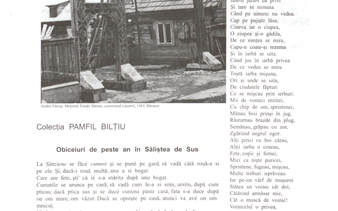 vol_11_13_scan0014