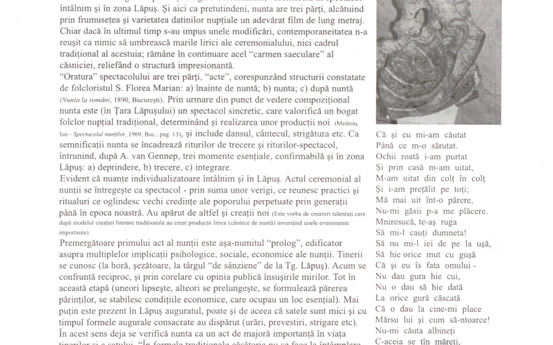 vol_11_13_scan0029