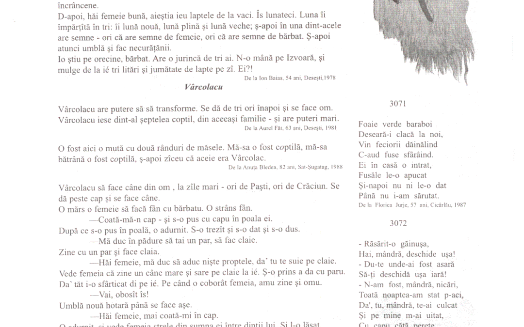vol_11_13_scan0054