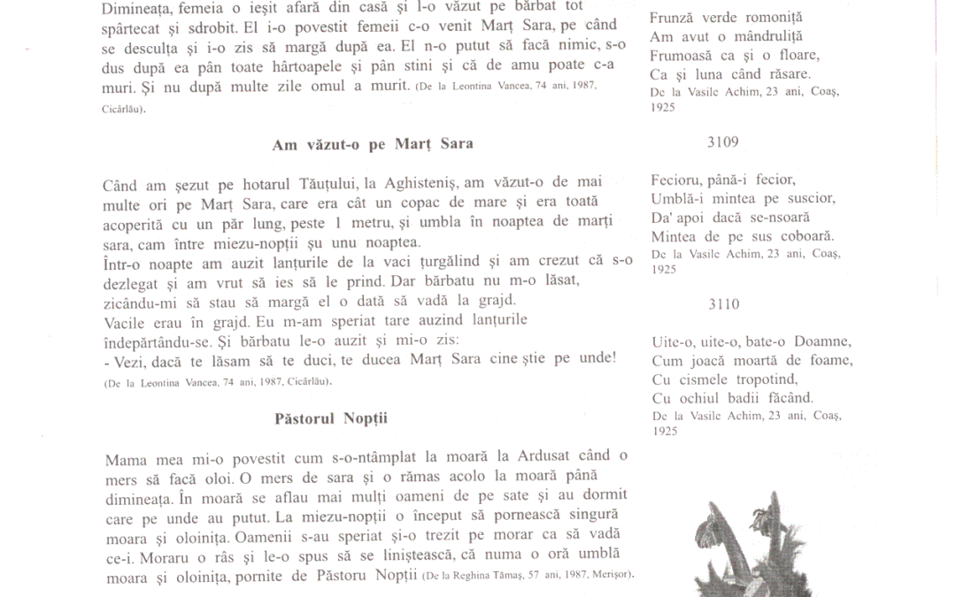 vol_11_13_scan0058