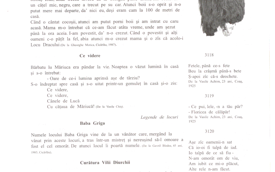vol_11_13_scan0059