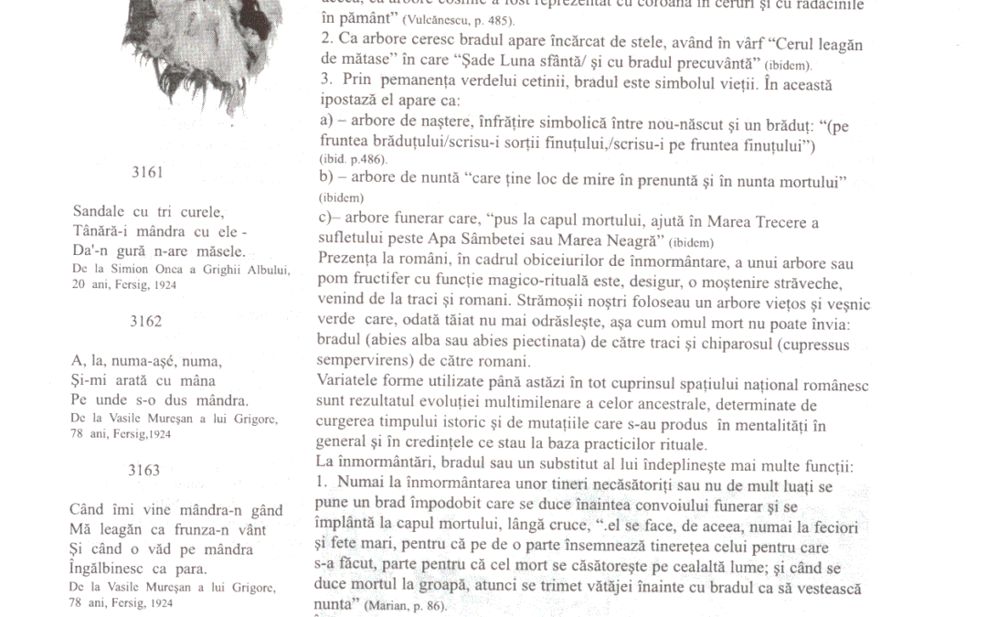 vol_11_13_scan0063a