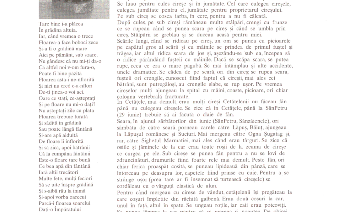 vol_14_15_cartea80021a