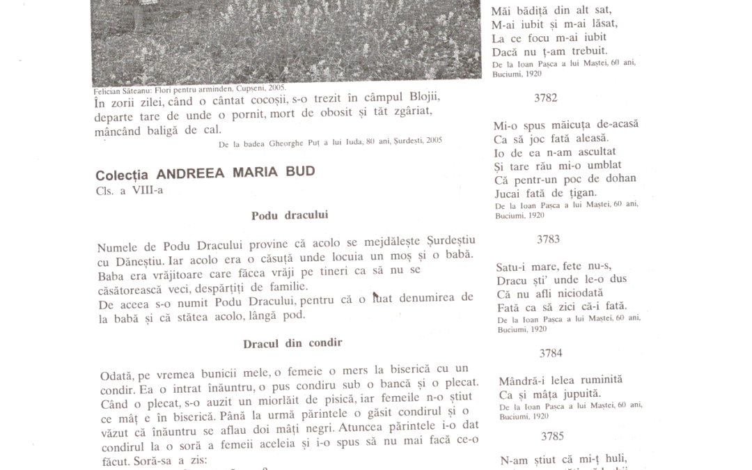 vol_14_15_cartea80066