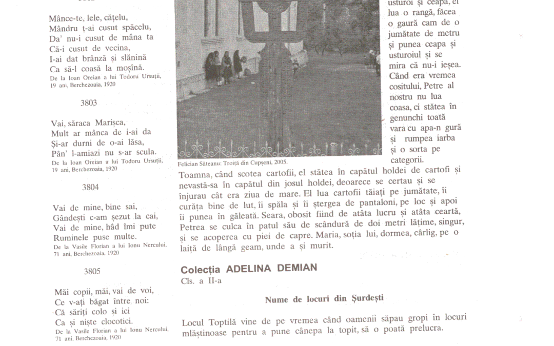 vol_14_15_cartea80067a