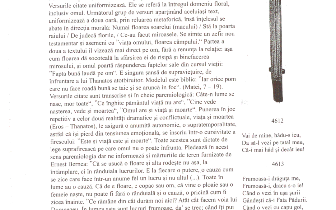 vol_18_19_90022