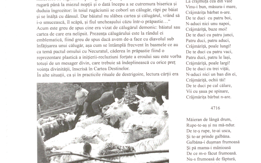 vol_18_19_90033