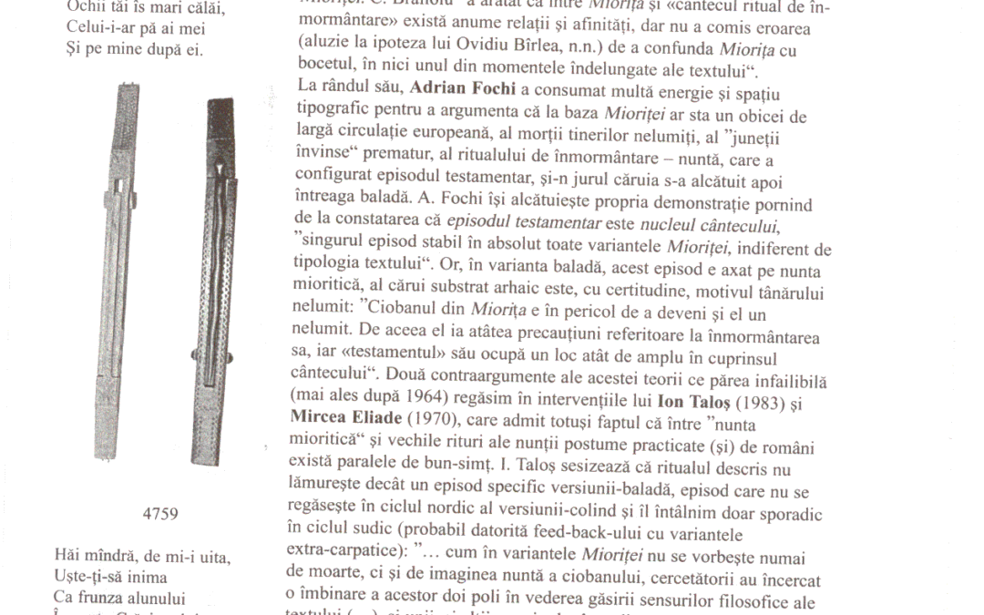 vol_18_19_90038a