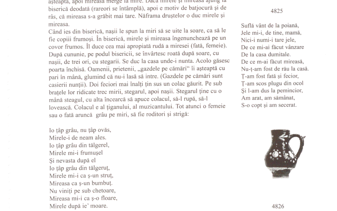 vol_18_19_90046