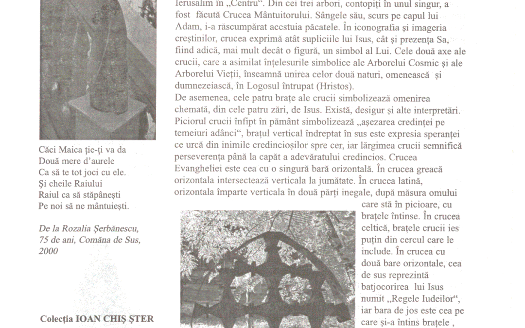 vol_20_100006a