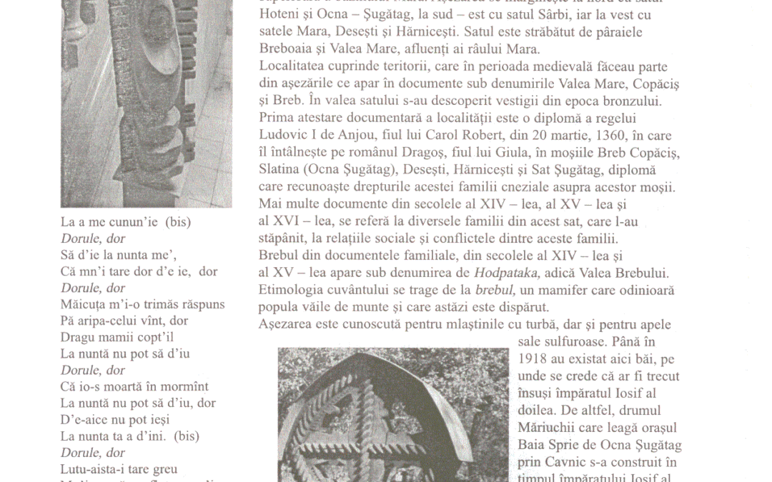 vol_20_100009a