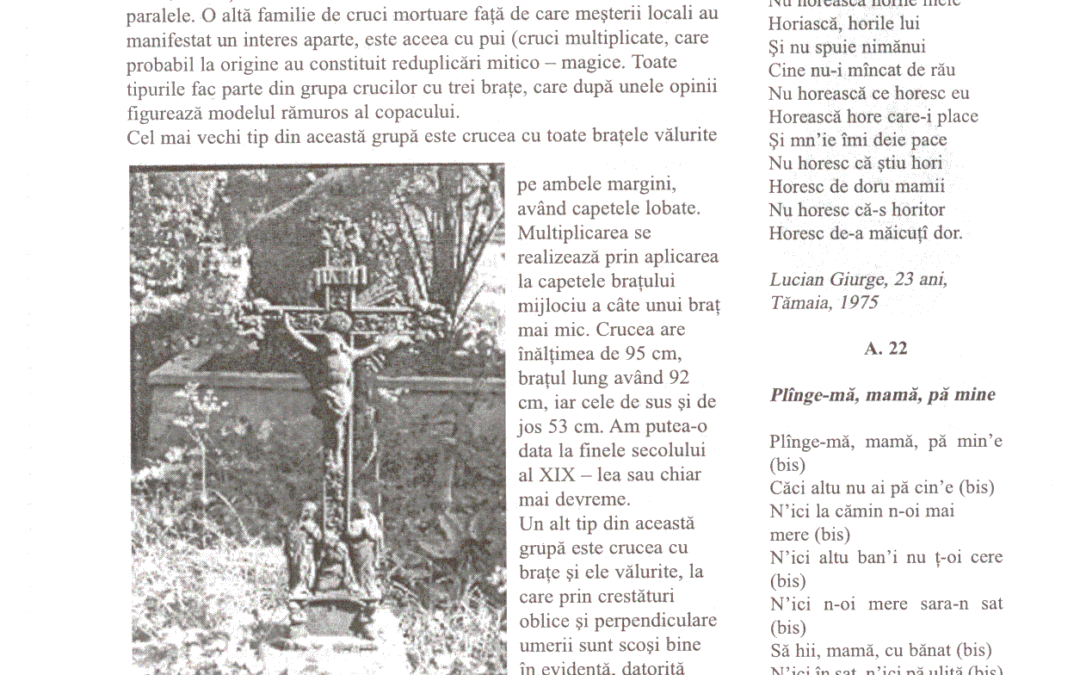 vol_20_100011
