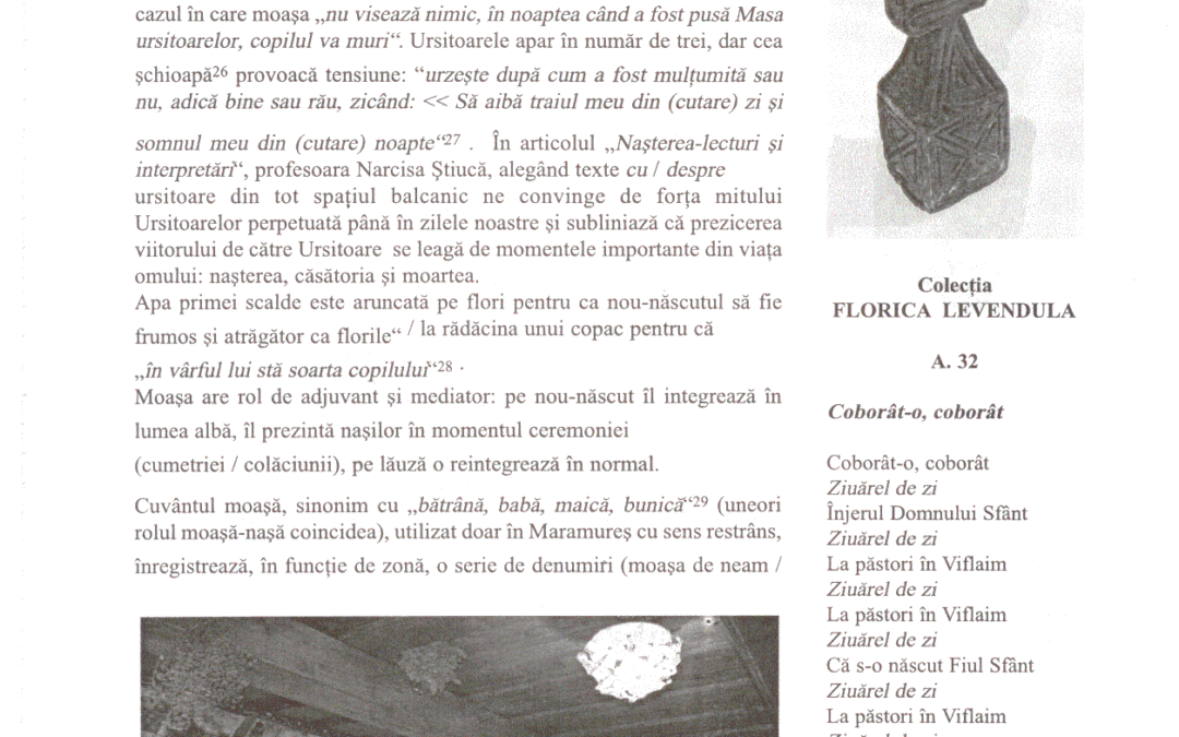 vol_20_100019