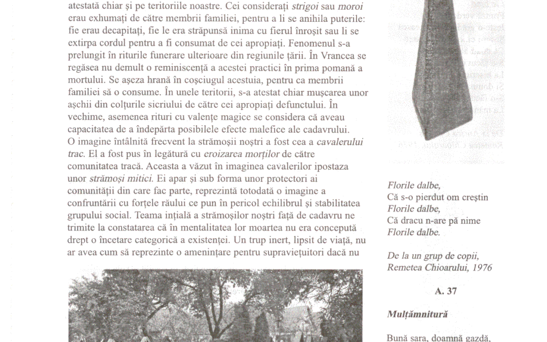 vol_20_100021