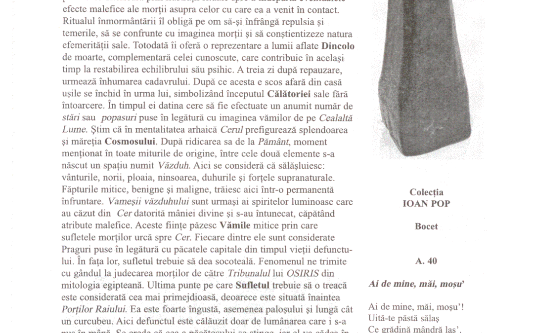 vol_20_100023